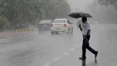 छत्तीसगढ़ में मानसून होगा और सक्रिय, अगले 24 घंटे भारी बारिश का अलर्ट जारी