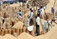 दुर्ग में धान खरीदी में गड़बड़ी, समिति प्रबंधक के खिलाफ अपराध दर्ज