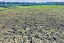 बस्तर संभाग में बारिश की बेरुखी से बढ़ी सूखे की चिंता, किसान परेशान