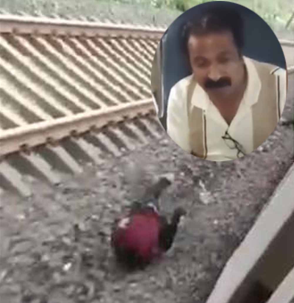 CG में चोर ट्रेन से कूदकर फरार, पीड़ित यात्री को ही पुलिस ने किया गिरफ्तार CG में चोर ट्रेन से कूदकर फरार, पीड़ित यात्री को ही पुलिस ने किया गिरफ्तार