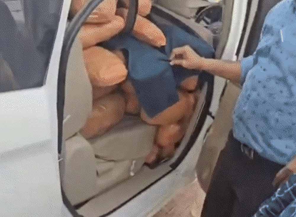 CG में नशा तस्करों पर बड़ा प्रहार, 1 करोड़ का गांजा जब्त; फर्जी नंबर प्लेट वाली कार समेत 3 गिरफ्तार