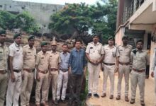 कोरबा में 206 साल के पेड़ों की लकड़ी बरामद, आरोपी गिरफ्तार, आरा मिल सील