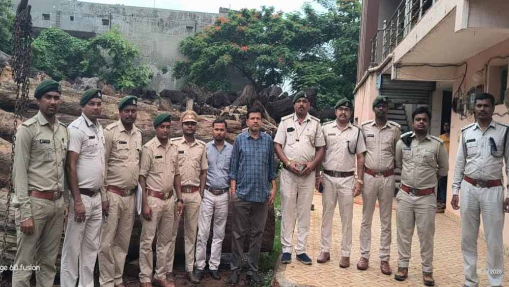 कोरबा में 206 साल के पेड़ों की लकड़ी बरामद, आरोपी गिरफ्तार, आरा मिल सील कोरबा में 206 साल के पेड़ों की लकड़ी बरामद, आरोपी गिरफ्तार, आरा मिल सील