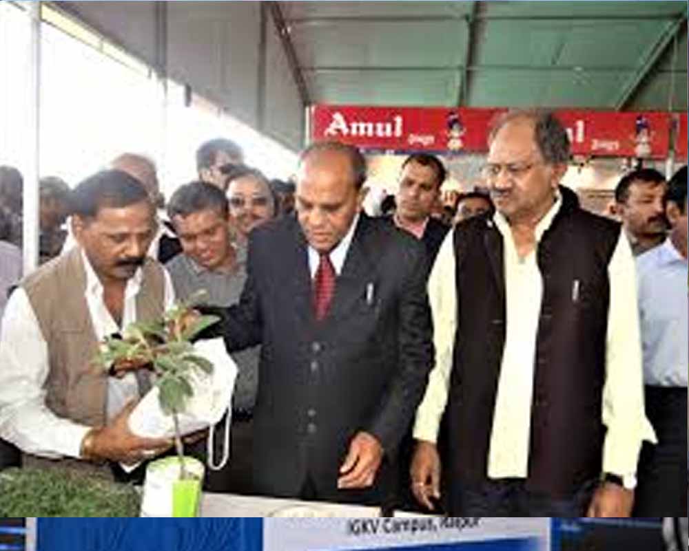 CG के कुलपति डॉ. गिरीश चंदेल को राष्ट्रीय जैव प्रौद्योगिकी पार्क योजना में बड़ी जिम्मेदारी, बने सदस्य CG के कुलपति डॉ. गिरीश चंदेल को राष्ट्रीय जैव प्रौद्योगिकी पार्क योजना में बड़ी जिम्मेदारी, बने सदस्य