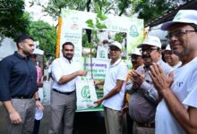 वित्त मंत्री  ओपी चौधरी ने निःशुल्क पौधा वितरण वैन को दिखाई हरी झंडी