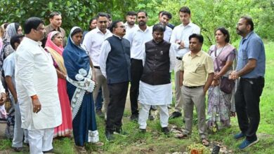 धमतरी जिले में 200 एकड़ से बढ़ाकर 600 एकड़ तक औषधीय खेती के विस्तार का लक्ष्य धमतरी जिले में 200 एकड़ से बढ़ाकर 600 एकड़ तक औषधीय खेती के विस्तार का लक्ष्य