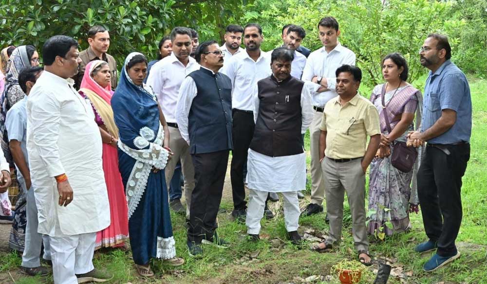 धमतरी जिले में 200 एकड़ से बढ़ाकर 600 एकड़ तक औषधीय खेती के विस्तार का लक्ष्य धमतरी जिले में 200 एकड़ से बढ़ाकर 600 एकड़ तक औषधीय खेती के विस्तार का लक्ष्य