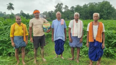 लैलूंगा के पाकरगांव के सुगंधित जवांफूल चावल की खुशबू पहुंच रही मुख्यमंत्री निवास तक