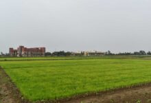 विलंबित मानसून के बीच धान किसानों के लिए आईसीएआर-एनआईबीएसएम की विशेष सलाह