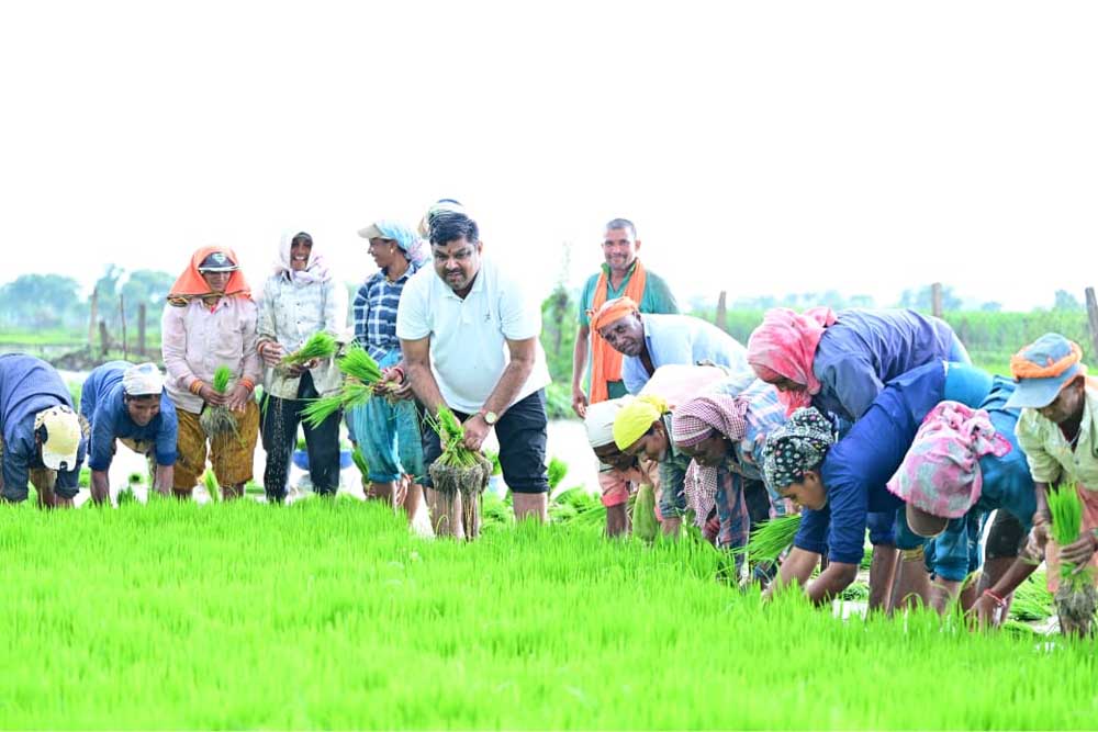 कृषि कार्यों में शामिल हुए शिक्षा मंत्री गजेन्द्र यादव कृषि कार्यों में शामिल हुए शिक्षा मंत्री गजेन्द्र यादव