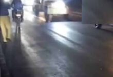 राजगढ़ में दर्दनाक हादसा, ट्रक ने टोल प्लाजा के पास 17 मवेशियों को रौंदा; बैरिकेड्स लगाकर चालक पकड़ा