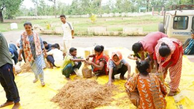 सुकमा में मशरूम उत्पादन का प्रशिक्षण बना आत्मनिर्भरता की नई राह सुकमा में मशरूम उत्पादन का प्रशिक्षण बना आत्मनिर्भरता की नई राह