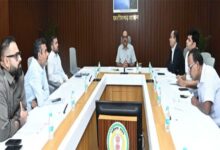 छत्तीसगढ़ में विकसित होंगे 4 नए औद्योगिक पार्क