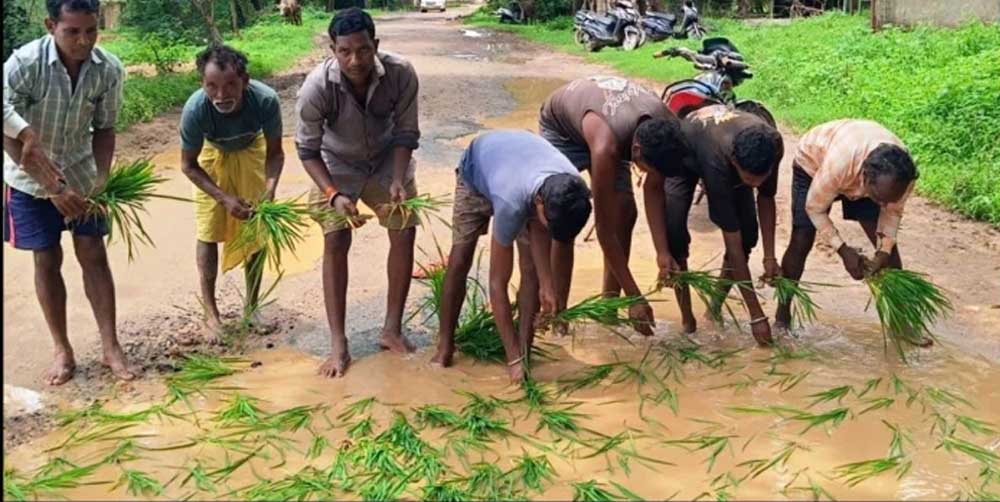 सड़क नहीं बनी तो गड्ढों में उगा दी धान, सूरजपुर में ग्रामीणों का अनोखा विरोध प्रदर्शन सड़क नहीं बनी तो गड्ढों में उगा दी धान, सूरजपुर में ग्रामीणों का अनोखा विरोध प्रदर्शन