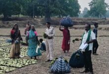 तेन्दूपत्ता संग्राहकों के खातों में पहुंचने लगी बोनस राशि