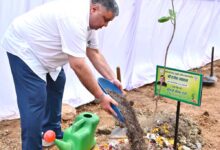 “एक पेड़ माँ के नाम” अभियान के तहत  मंत्री  राजेश अग्रवाल ने नवीन विधानसभा परिसर में लगाया पौधा