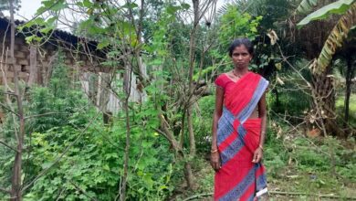 किचन गार्डन से आत्मनिर्भर बन रहीं बिहान की दीदियां किचन गार्डन से आत्मनिर्भर बन रहीं बिहान की दीदियां