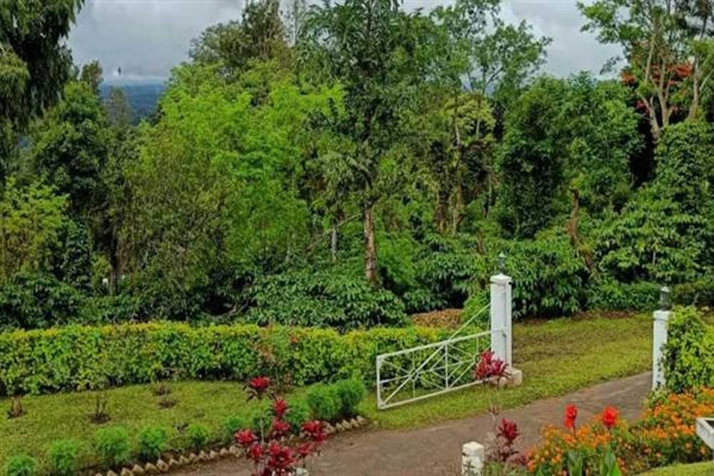 प्राकृतिक सौंदर्य, कॉफी बागानों और जनजातीय संस्कृति की अनूठी पहचान है बैतूल का कुकरू खामला प्राकृतिक सौंदर्य, कॉफी बागानों और जनजातीय संस्कृति की अनूठी पहचान है बैतूल का कुकरू खामला