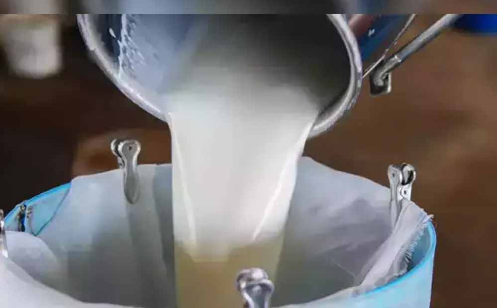 योगी सरकार की योजना से बदली किस्मत, डेयरी से सालाना हो रही 20 लाख की कमाई योगी सरकार की योजना से बदली किस्मत, डेयरी से सालाना हो रही 20 लाख की कमाई