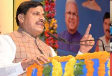 MP से राजस्थान पहुंचे घड़ियाल, CM मोहन यादव बोले- मध्य प्रदेश में बाघों की संख्या 1000 के पार