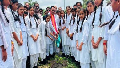 भावी पीढ़ी के लिए हरित मध्यप्रदेश का निर्माण हमारी प्राथमिकता: राज्यमंत्री  पंवार