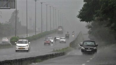 MP Weather Today: मध्य प्रदेश के 8 जिलों में भारी बारिश का अलर्ट, भोपाल में सुबह बूंदाबांदी; अब भी 17% कम बरसा मानसून