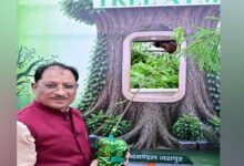 आज लगाया गया हर पौधा आने वाली पीढ़ियों के सुरक्षित भविष्य का आधार बनेगा : मुख्यमंत्री  विष्णुदेव साय