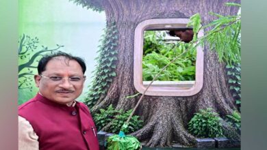 आज लगाया गया हर पौधा आने वाली पीढ़ियों के सुरक्षित भविष्य का आधार बनेगा : मुख्यमंत्री  विष्णुदेव साय
