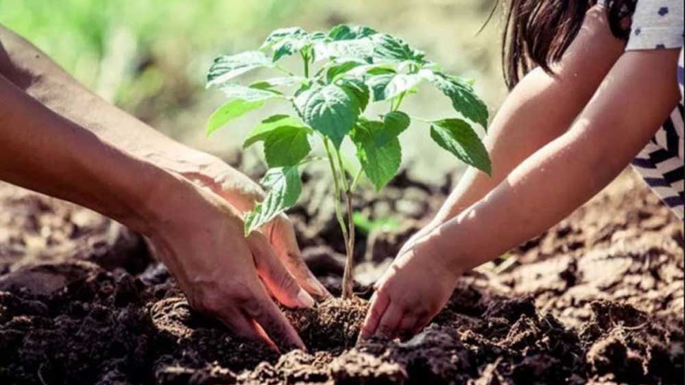 एक पेड़ मां के नाम 3.0′ से हरित चेतना को मिलेगा नया विस्तार, जुलाई में विद्यालयों में पर्यावरण संरक्षण का महाअभियान एक पेड़ मां के नाम 3.0′ से हरित चेतना को मिलेगा नया विस्तार, जुलाई में विद्यालयों में पर्यावरण संरक्षण का महाअभियान