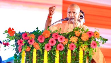 वृक्षारोपण महायज्ञ-2026 बना जन आंदोलन, सोनभद्र जिले में हुआ सर्वाधिक पौधरोपण