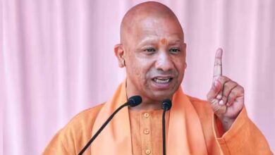 उत्सवपूर्ण माहौल में 12 जुलाई को एक दिन में 35 करोड़ पौधे लगाएगा उत्तर प्रदेश: मुख्यमंत्री योगी