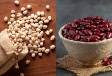 प्रोटीन के लिए राजमा, छोले या काला चना, जानिए किसमें सबसे ज्यादा प्रोटीन