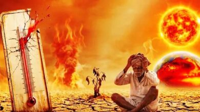 100 साल में सबसे शक्तिशाली El Niño का अलर्ट, 2027 बन सकता है सबसे गर्म साल
