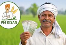 PM Kisan 24वीं किस्त पर बड़ा अपडेट, रक्षाबंधन पर ₹4000 मिलने का दावा निकला फर्जी