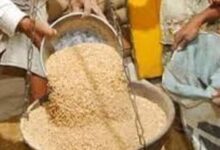 यूपी में फ्री राशन वितरण की तारीख तय, 5 से 18 अगस्त तक मिलेगा अनाज