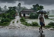 यूपी में फिर सक्रिय हुआ मानसून, कई जिलों में भारी बारिश का अलर्ट; किसानों के लिए एडवाइजरी जारी