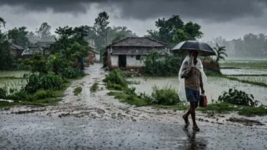 यूपी में फिर सक्रिय हुआ मानसून, कई जिलों में भारी बारिश का अलर्ट; किसानों के लिए एडवाइजरी जारी यूपी में फिर सक्रिय हुआ मानसून, कई जिलों में भारी बारिश का अलर्ट; किसानों के लिए एडवाइजरी जारी