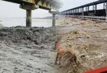 250 साल में 120 किमी बदली कोसी की धारा, जानें क्यों कहलाती है बिहार का शोक