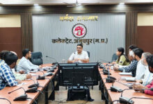रेलवे ओवरब्रिज का कार्य गंभीरता एवं रुचि के साथ शीघ्र पूर्ण करें अधिकारी- कलेक्टर  झा