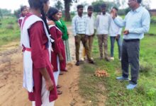 सीड बॉल से हरियाली की ओर बढ़े पिपरिया के विद्यार्थी