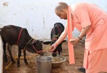 यूपी में 10 हजार गो मित्र बनेंगे, योगी सरकार Gen Z को गो संरक्षण से जोड़ेगी
