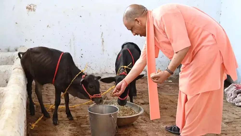 यूपी में 10 हजार गो मित्र बनेंगे, योगी सरकार Gen Z को गो संरक्षण से जोड़ेगी यूपी में 10 हजार गो मित्र बनेंगे, योगी सरकार Gen Z को गो संरक्षण से जोड़ेगी