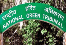 17 लाख जमा, 24 साल बाद भी सीवेज लाइन गायब! भोपाल नगर निगम पर NGT सख्त