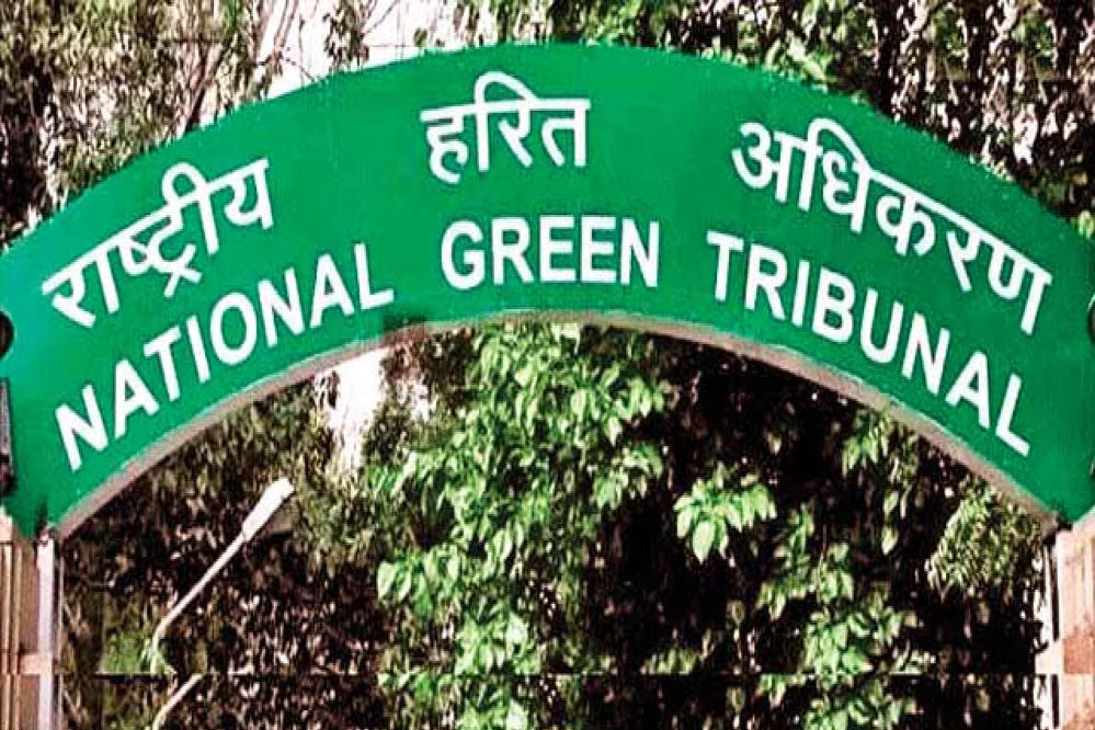 17 लाख जमा, 24 साल बाद भी सीवेज लाइन गायब! भोपाल नगर निगम पर NGT सख्त 17 लाख जमा, 24 साल बाद भी सीवेज लाइन गायब! भोपाल नगर निगम पर NGT सख्त