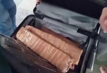 Bhopal Drug Bust: अंतरराष्ट्रीय ड्रग सिंडिकेट का भंडाफोड़, 8.6 किलो ड्रग्स जब्त; 5 गिरफ्तार