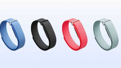 Google Fitbit Air की भारत में एंट्री! अक्टूबर में होगा लॉन्च, सिंगल चार्ज में 7 दिन चलेगा