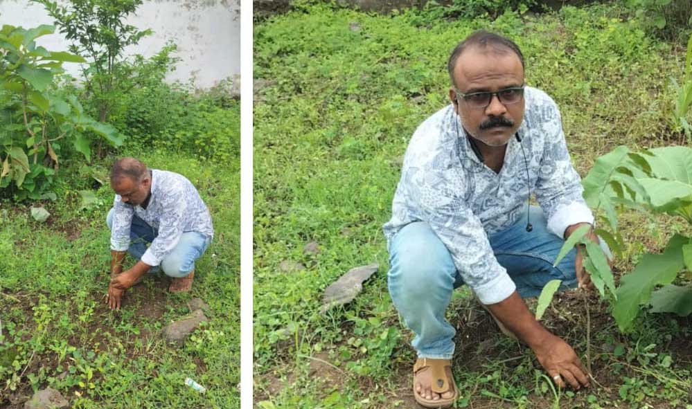 अनवर खान ने लगाए अशाेक ,नीम का पौधे अनवर खान ने लगाए अशाेक ,नीम का पौधे