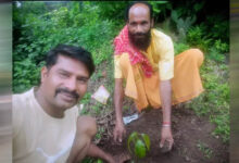 प्रदेश प्रवक्ता बालकिशन विश्वकर्मा ने आम के वृक्ष छतरपुर में लगाए