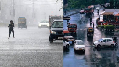 MP Weather: जुलाई का बारिश कोटा पूरा, फिर भी 13% कम बरसा पानी; अगले 4 दिन भारी बारिश के आसार नहीं MP Weather: जुलाई का बारिश कोटा पूरा, फिर भी 13% कम बरसा पानी; अगले 4 दिन भारी बारिश के आसार नहीं