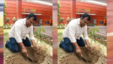प्रदेश उपाध्यक्ष महेश सिनकर ने आम के वृक्ष मंदिर परिसर में लगाए प्रदेश उपाध्यक्ष महेश सिनकर ने आम के वृक्ष मंदिर परिसर में लगाए